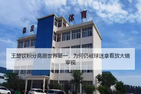 王楚钦积分高居世界第一，为何仍被球迷拿着放大镜审视